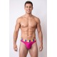 String rose Rainbow - LM2599-01MAG
