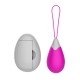 Œuf Vibrant Télécommandé 10 Modes Fuchsia 1 dosette de lubrifiant — Pocket Pleasure