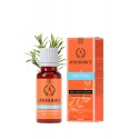 APHRODICT SEXOVITAL Complément Alimentaire complexe performance pour Homme 20 ml - RUF