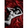 Drap vinyle rouge 200x220 cm