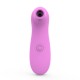 Vibromasseur succion rose 10 vitesses de voyage - BOZ-035PNK