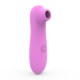 Vibromasseur succion rose 10 vitesses de voyage - BOZ-035PNK