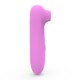 Vibromasseur succion rose 10 vitesses de voyage - BOZ-035PNK