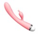 Vibromasseur Rabbit rose vintage 10 vitesse USB - TOZ-053BPNK