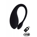 TANDEM Noir, stimulateur pour couple USB avec télécommande en silicone médical - BQ125BLK