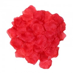 Coffret de 100 Pétales de Rose - 100610RED