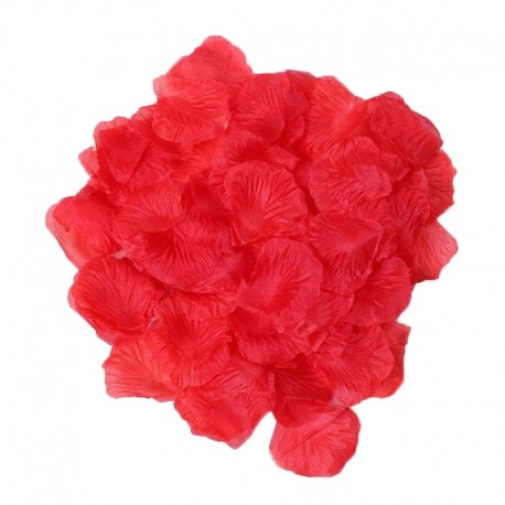 Coffret de 100 Pétales de Rose - 100610RED
