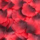 Coffret de 100 Pétales de Rose - 100610RED