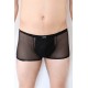 Boxer noir semi opaque - LM2502-67BLK