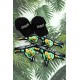 Pack 4 Strings Homme LM2402-57BIR LOOKME 2 Casquettes Offertes