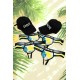 Pack 4 Strings Homme LM2402-57LEM LOOKME 2 Casquettes Offertes