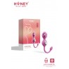 Elektra Kit 4 Boules Geisha électrostimulation douce connectée smartphone USB
