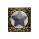 Nipple Métal noir Cache tétons d'étoile - 202400107